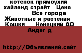 котенок прямоухий  хайленд страйт › Цена ­ 10 000 - Все города Животные и растения » Кошки   . Ненецкий АО,Андег д.